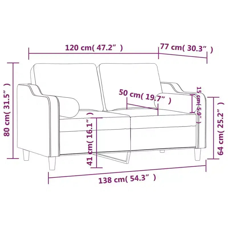 2-Seater Sofa with Throw Pillows Accent Loveseat for Living Room Fabric